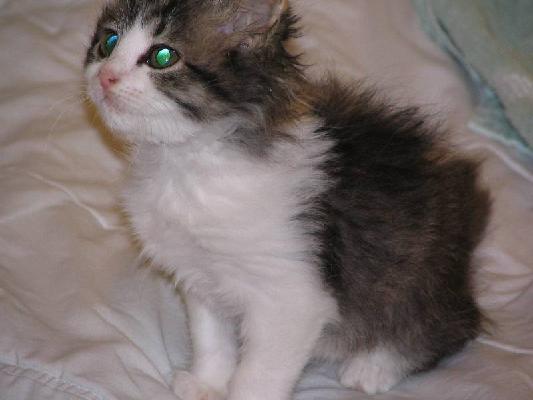 New Brunswick 2004 018.jpg